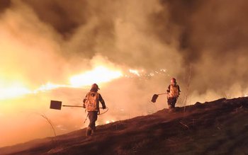 Pompierii au intervenit pentru stingerea …