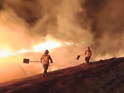 Pompierii au intervenit pentru stingerea …