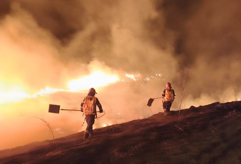 Pompierii au intervenit pentru stingerea a patru incendii de vegetație uscată și stuf