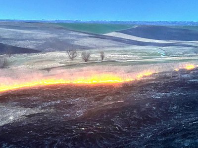 Pompierii au acționat, în ultimele …