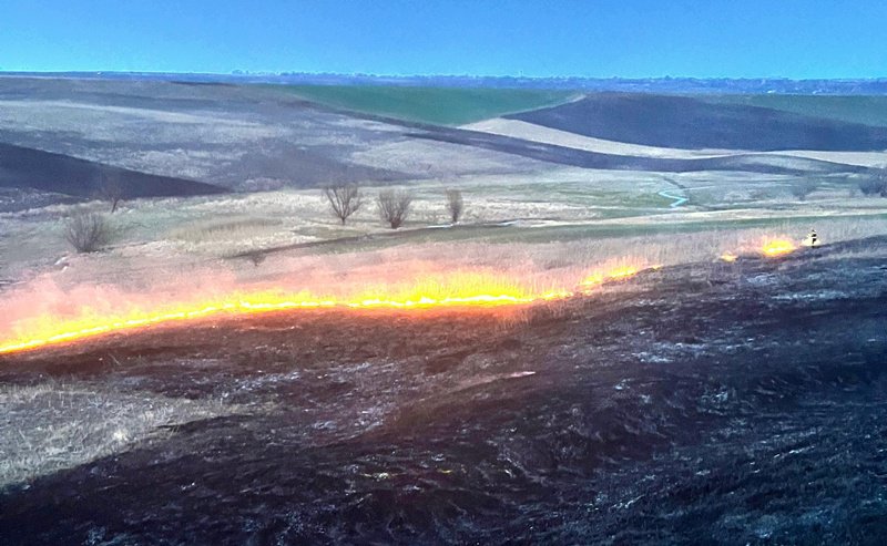 Pompierii au acționat, în ultimele ore, pentru stingerea a cinci incendii de vegetație uscată