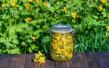 Beneficiile ceaiului de rostopască pentru …