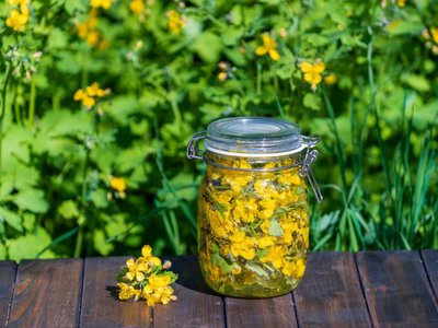 Beneficiile ceaiului de rostopască pentru …