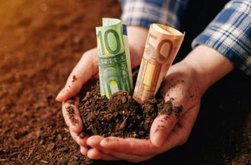 Reguli pentru proprietarii de teren. …