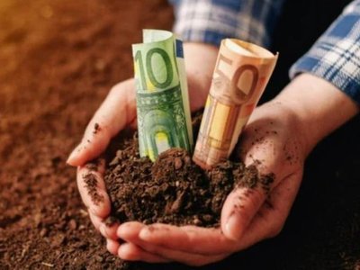 Reguli pentru proprietarii de teren. …