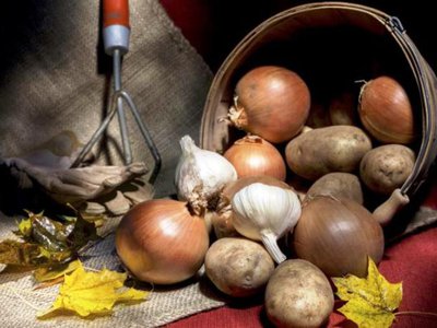 De ce nu ar trebui …