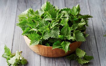 Proprietățile medicinale ale consumului de …