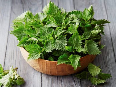 Proprietățile medicinale ale consumului de …