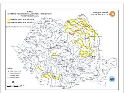 Cod Portocaliu și Galben de …