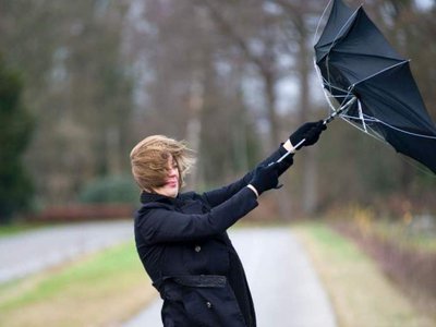 Astăzi și mâine, vânt puternic …