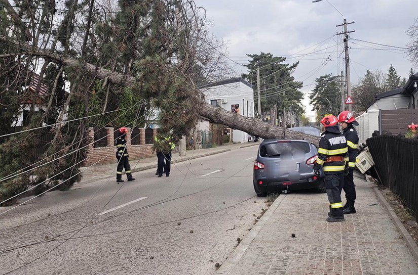 Vântul a doborât un copac și doi stâlpi de electricitate în Botoșani. Un autoturism a fost avariat - FOTO