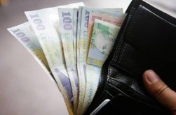 AJPIS Botoșani: Plăți de peste …