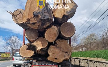 Peste 30 de metri cubi …