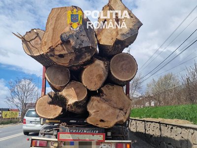 Peste 30 de metri cubi …