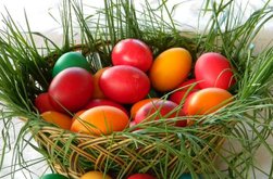 După câte zile se strică …