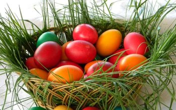 După câte zile se strică …