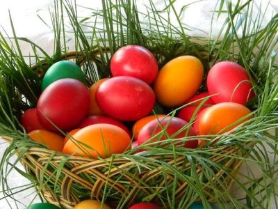 După câte zile se strică …