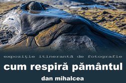 Al 39-lea vernisaj al expoziției …