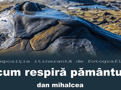 Al 39-lea vernisaj al expoziției …