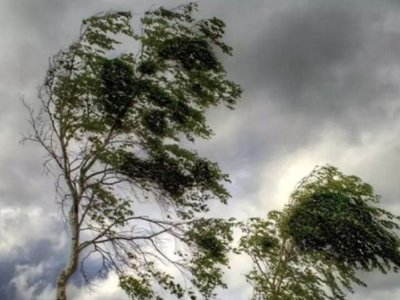 Cod Galben de vânt puternic, …