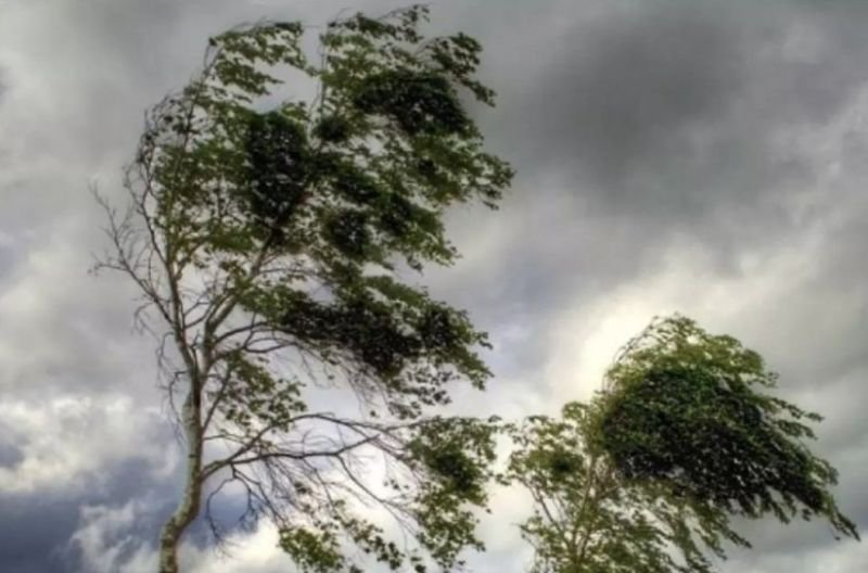 Cod Galben de vânt puternic, sâmbătă, pentru județul Botoșani