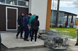 Peste 200 de animale sterilizate …