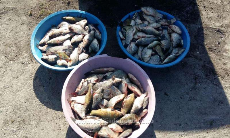 Peste 160 kg de pește ridicat de polițiști