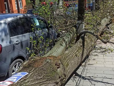 Intervenții în lanț ale pompierilor, …