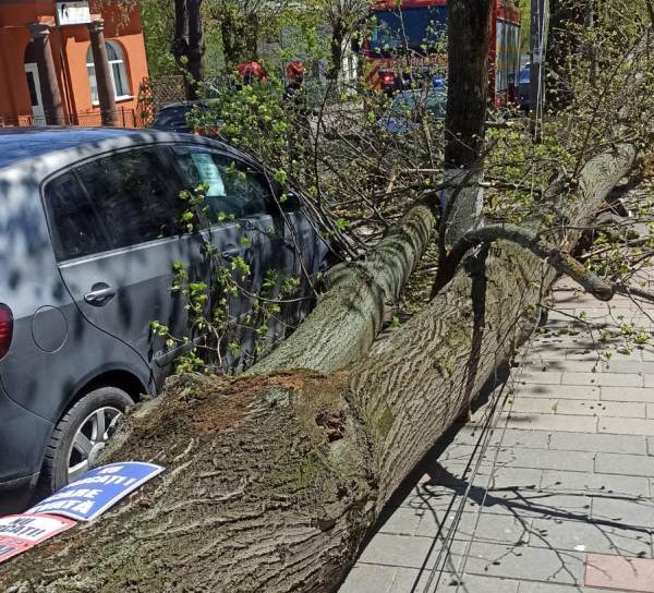 Intervenții în lanț ale pompierilor, după codul portocaliu de vânt în Botoșani