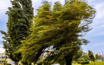 Atenție, Cod galben de vânt …