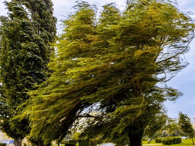 Atenție, Cod galben de vânt …
