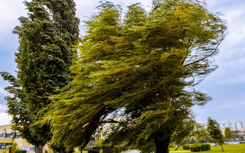 Atenție, Cod galben de vânt pentru județul Botoșani