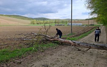 Intervenții ale pompierilor în urma …