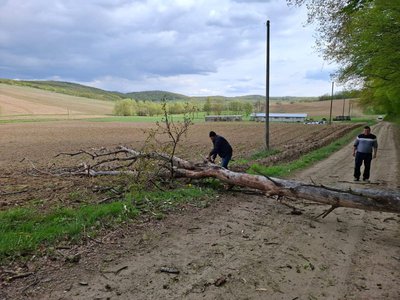 Intervenții ale pompierilor în urma …