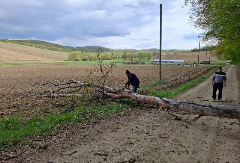 Intervenții ale pompierilor în urma Codului Portocaliu de vânt