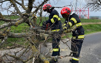 În mai puțin de o …