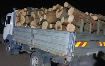 Material lemnos confiscat de polițiști