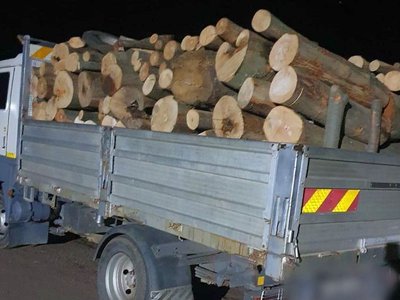 Material lemnos confiscat de polițiști