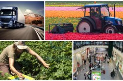 195 locuri de munca vacante …