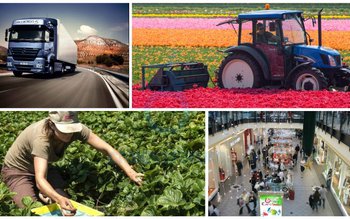 195 locuri de munca vacante …