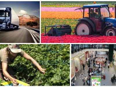 195 locuri de munca vacante …