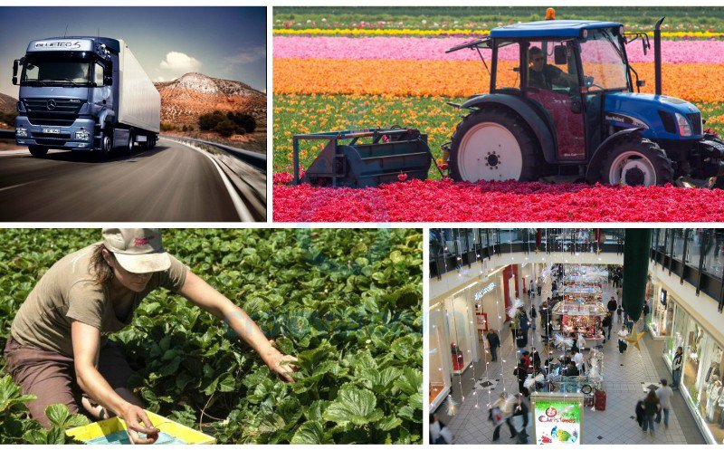 195 locuri de munca vacante in Uniunea Europeana - AJOFM Botosani