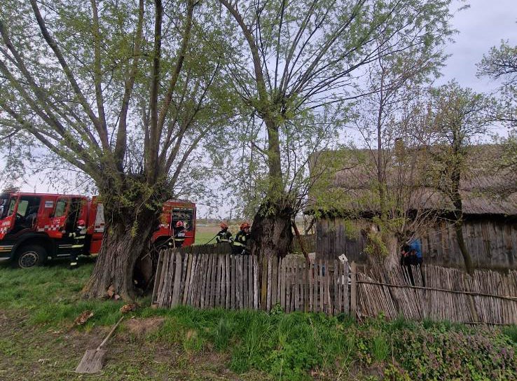 Foc pornit dintr-un copac, la un pas să cuprindă o casă din Hilișeu-Horia