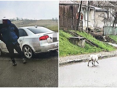 Sancționat cu 3.000 de lei …