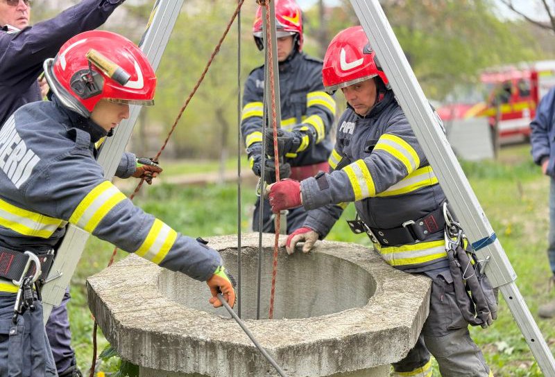Ied salvat de pompieri după ce a căzut într-o fântână