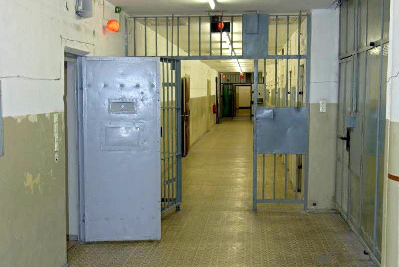 Închisoare cu executare după ce și-a ucis propriul câine. Sentință definitivă. Un bărbat din Suceava, dus direct la penitenciarul Botoșani