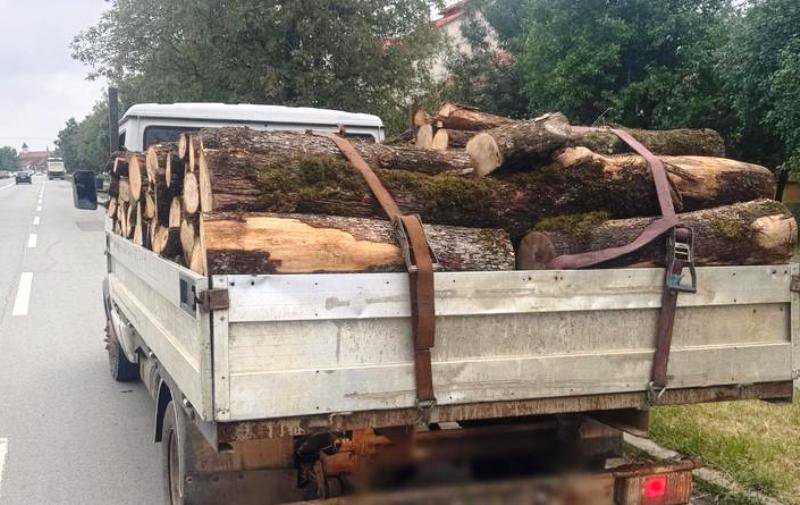Amendă de 2.000 de lei și material lemnos confiscat
