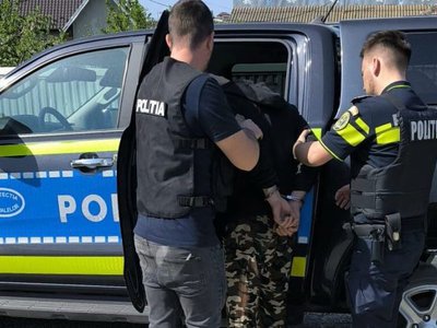 Bărbat reținut pentru schingiuirea animalelor