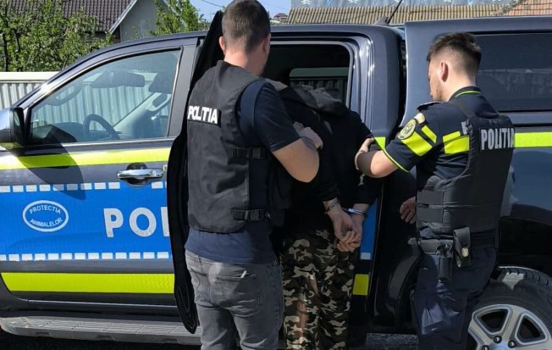 Bărbat reținut pentru schingiuirea animalelor