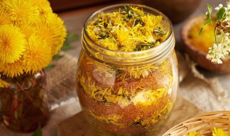 Vinul medicinal din flori de păpădie: O băutură naturală cu puteri tămăduitoare